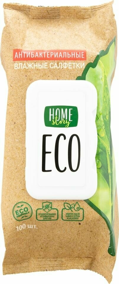 Салфетки влажные Home Story Eco с антибактериальным эффектом 100шт х 2шт