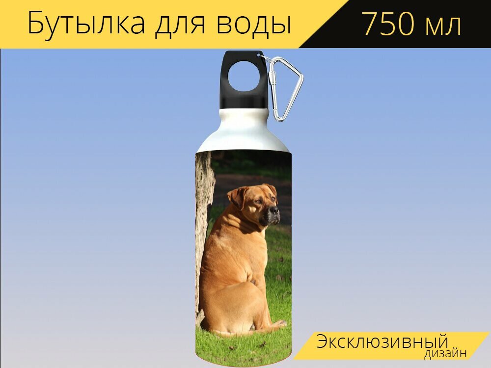 Бутылка фляга для воды "Собака, мастиф, бульмастиф" 750 мл. с карабином и принтом