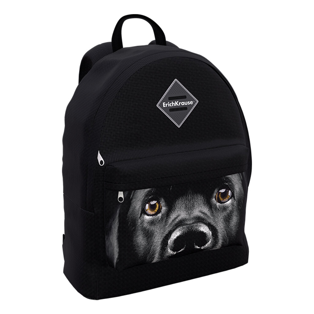 Рюкзак 1отд. EasyLine 17L Black Dog 39х29х13см ERICH KRAUSE