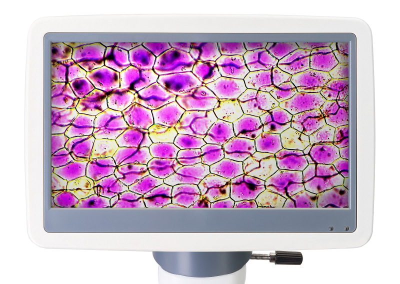 Микроскоп цифровой Levenhuk D85L LCD, монокулярный - фото №6