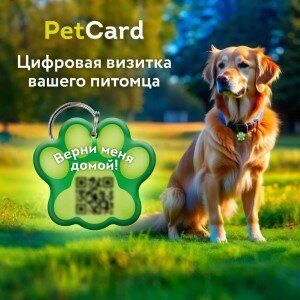 Цифровая визитка/адресник PetCard для собак и кошек с QR-кодом и NFC зеленый