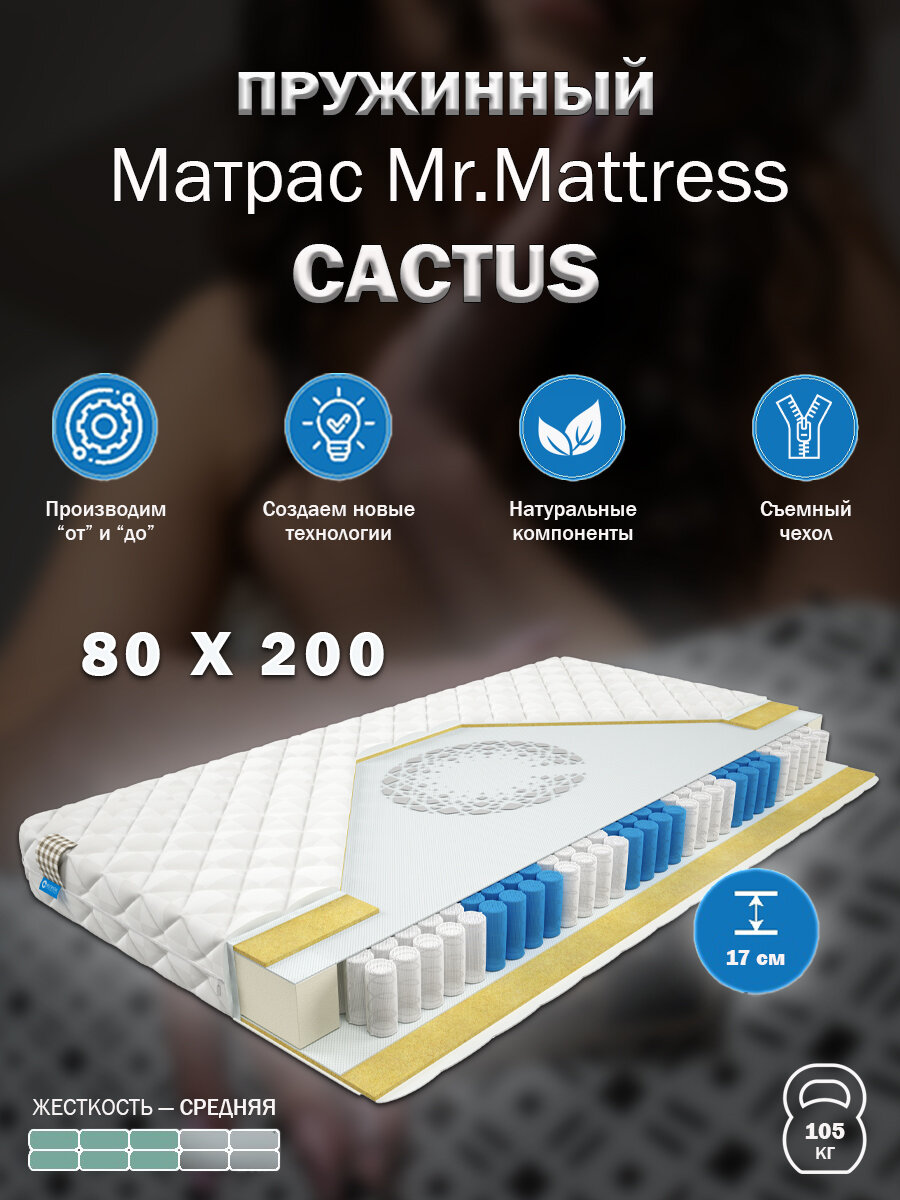 Матрас Mr. Mattress CACTUS 80x200