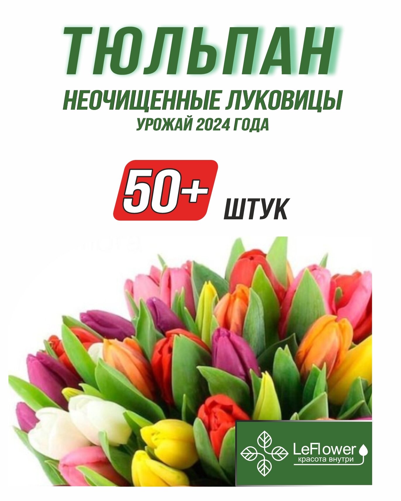 Тюльпан Луковицы неочищенные, Микс сортов, 50шт+