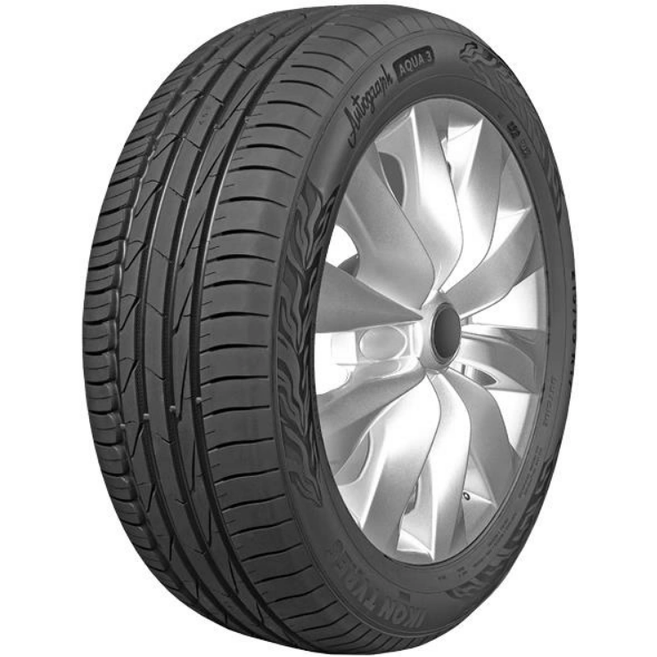 Автомобильная шина Ikon Tyres - фото №1
