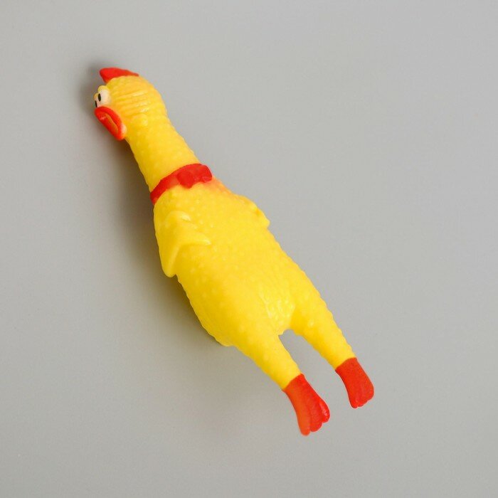 Игрушка пищалка «Курица», 16 см, в лапах - фотография № 6