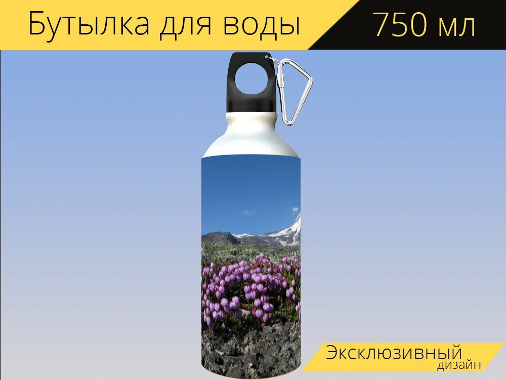 Бутылка фляга для воды "Вулкан авачинский, камчатка, горы" 750 мл. с карабином и принтом