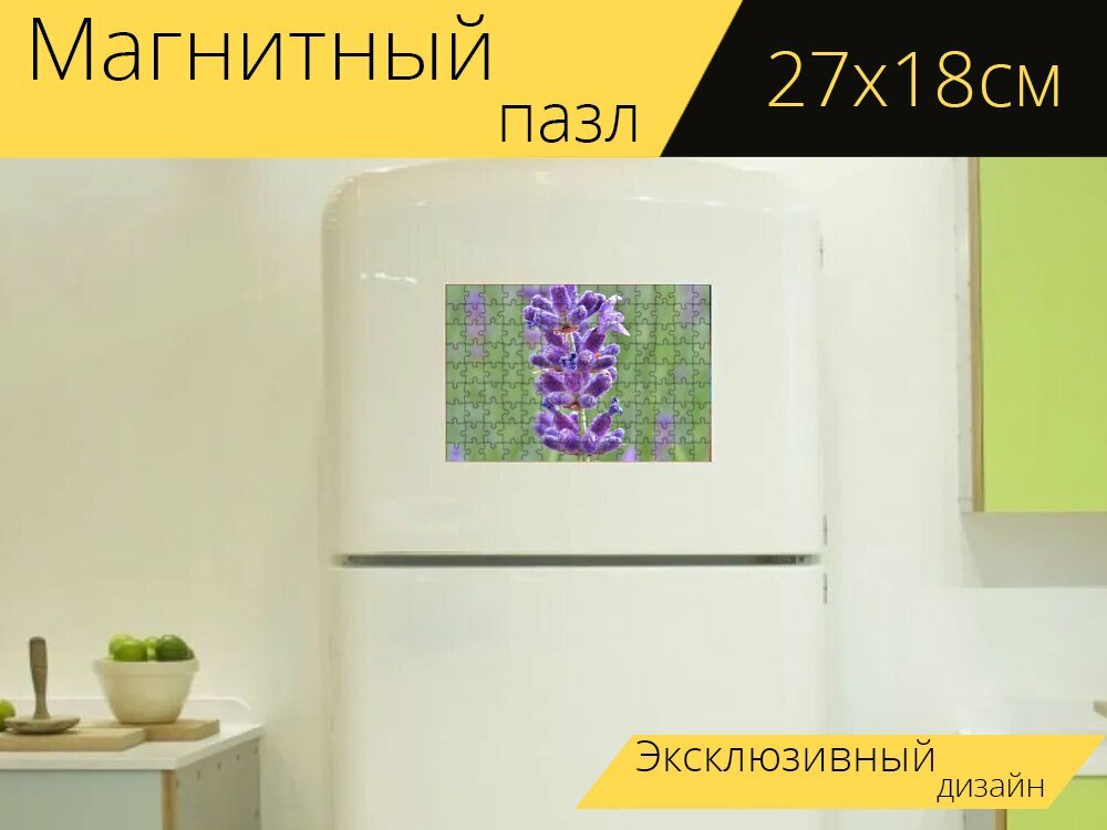 Магнитный пазл "Лаванда, куст лаванды, фиолетовый" на холодильник 27 x 18 см.
