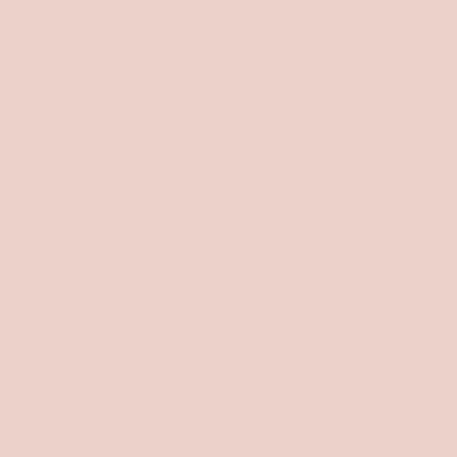 Акриловая моющаяся краска Little Greene Tom’s Oil Eggshell в цвете 220 Pink Slip 2,5 л