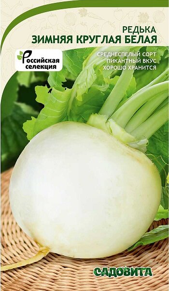 фото Редька Зимняя круглая белая 2 г Садовита