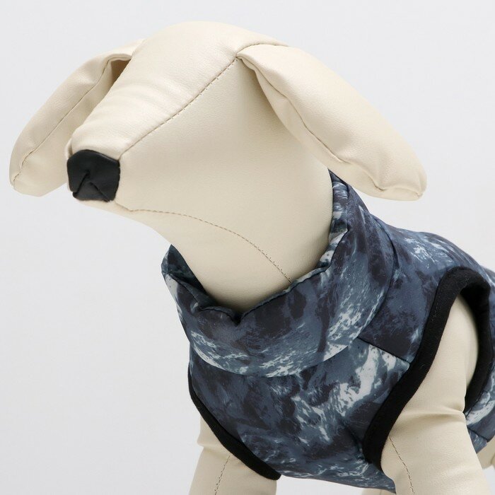 Куртка для собак на молнии "Содалит", размер S, синяя (ДС 27, ОШ 26, ОГ 38 см) - фотография № 5