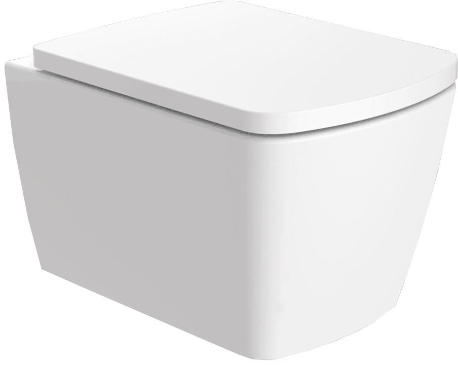 фото Allen Brau Унитаз подвесной Allen Brau Liberty 4.33004.20