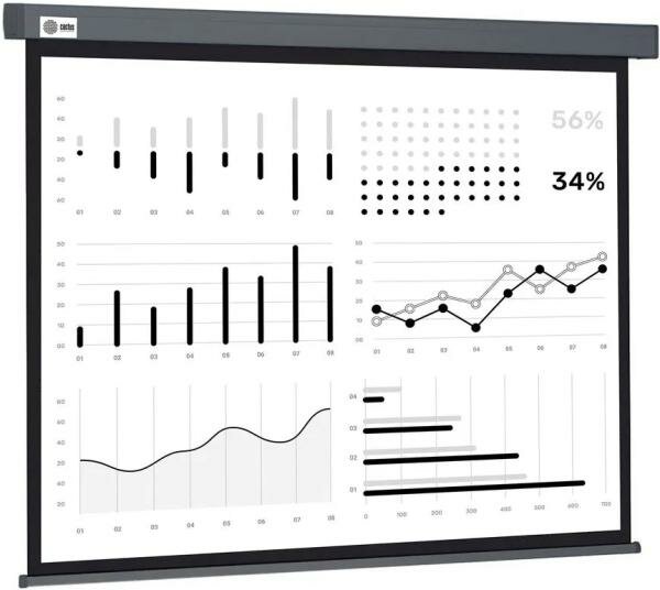 Рулонный cactus Wallscreen CS-PSW-180X180-SG