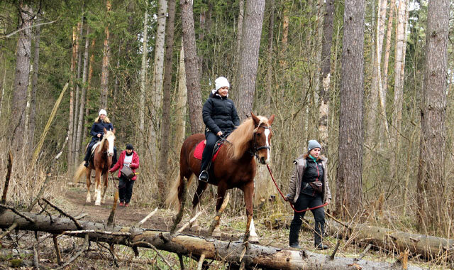 Прогулка на лошади и квадроцикле с обедом для 1 человека (Московская область)