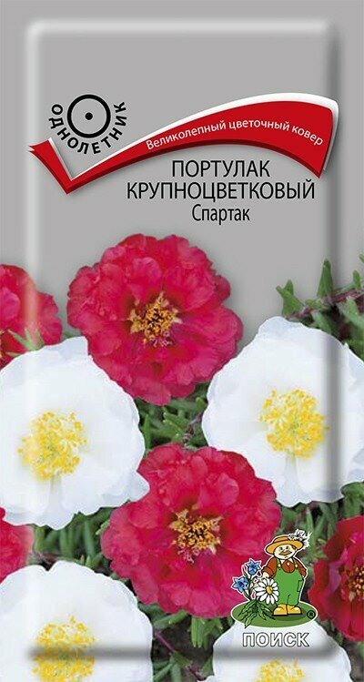 Портулак крупноцветковый Спартак однол. (01гр.) (Поиск)