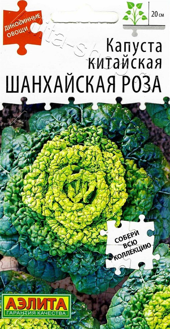 Капуста китайская Шанхайская роза 01г Ранн (Аэлита)