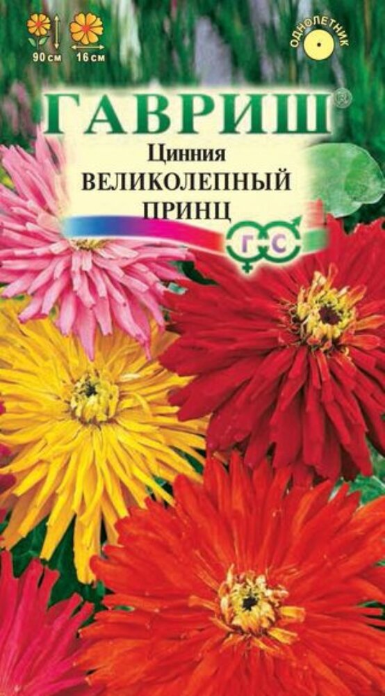 Цинния Великолепный принц кактусовидная 05г Одн смесь 90см (Гавриш) 1+1