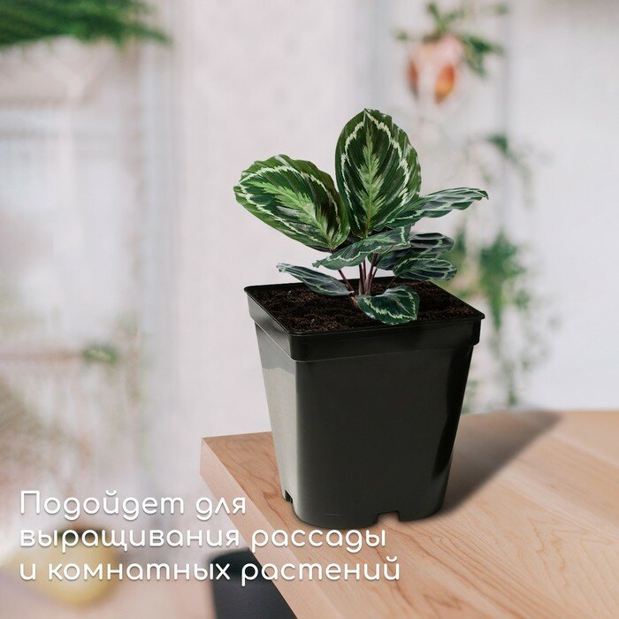 Горшок для рассады, 5 л, 19 × 19 × 23 см, чёрный, Greengo - фотография № 3