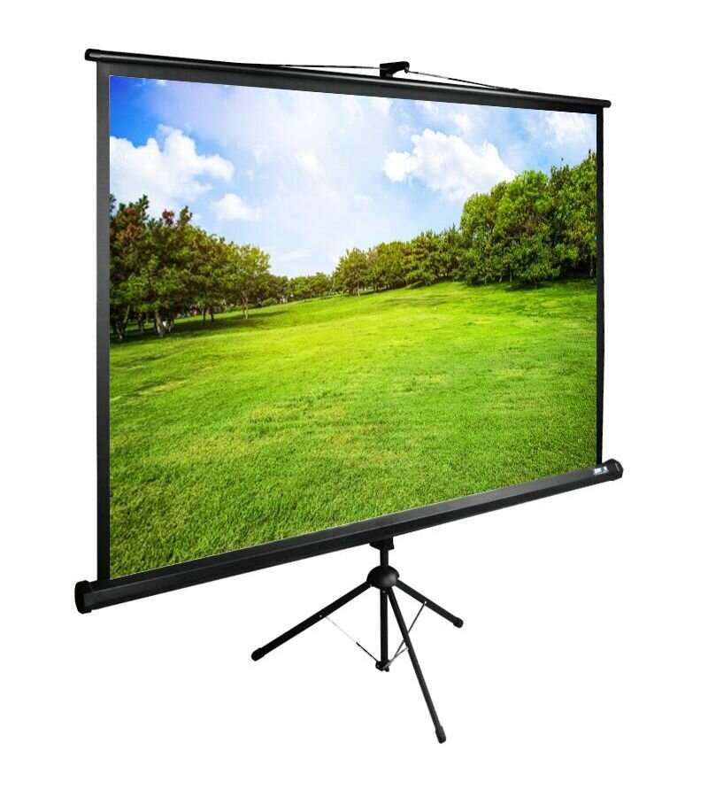 Экран напольный Cactus 150x200см TriExpert CS-PSTE-200х150-BK