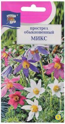 Семена цветов Прострел обыкновенный "Микс", 0,03 г