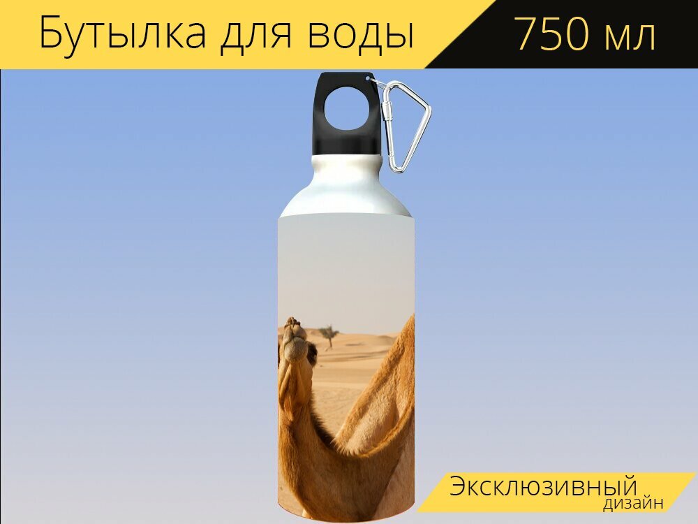 Бутылка фляга для воды "Абу даби, эмираты, пустыня" 750 мл. с карабином и принтом