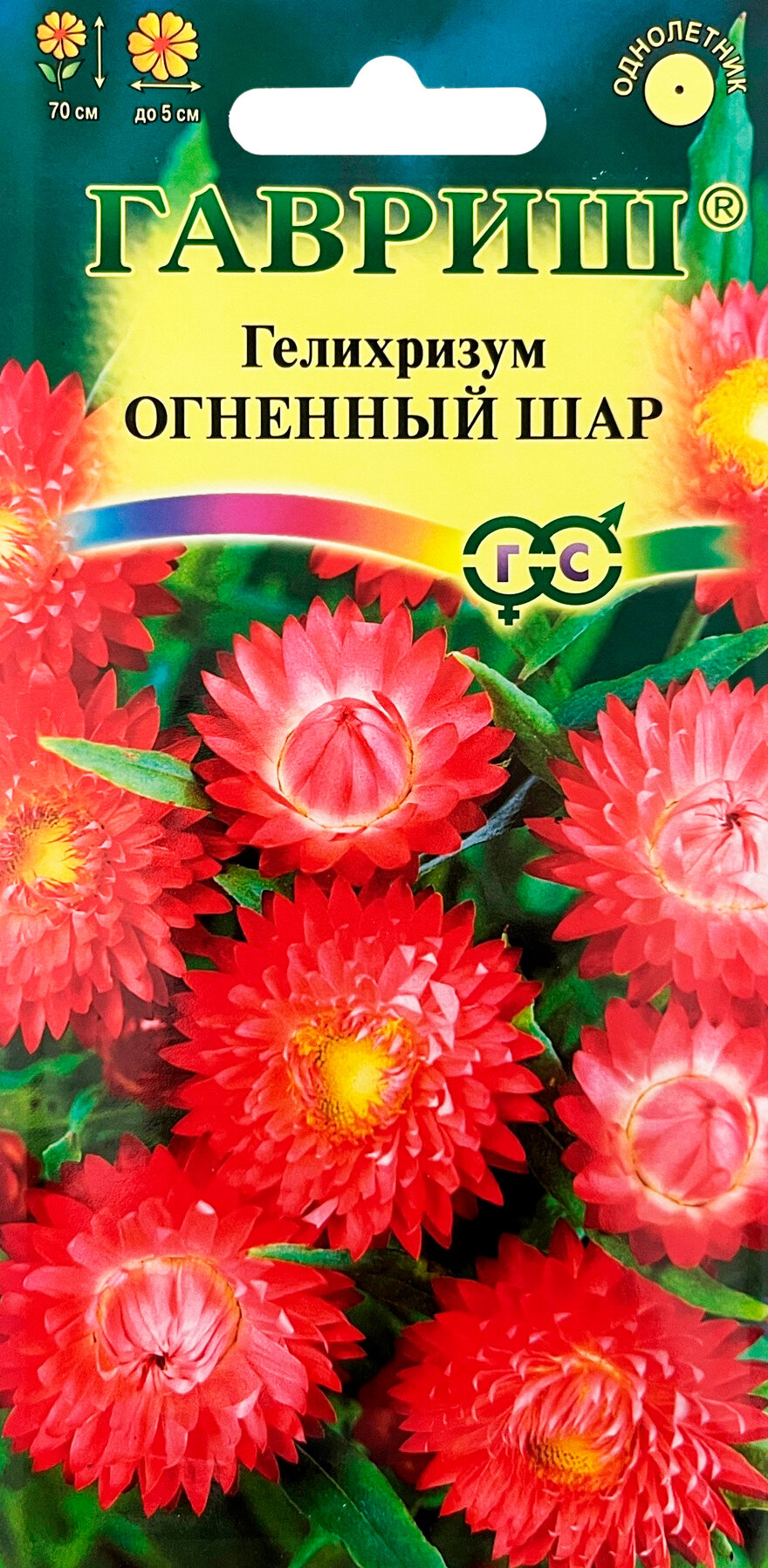 Гелихризум Огненный шар* 01г