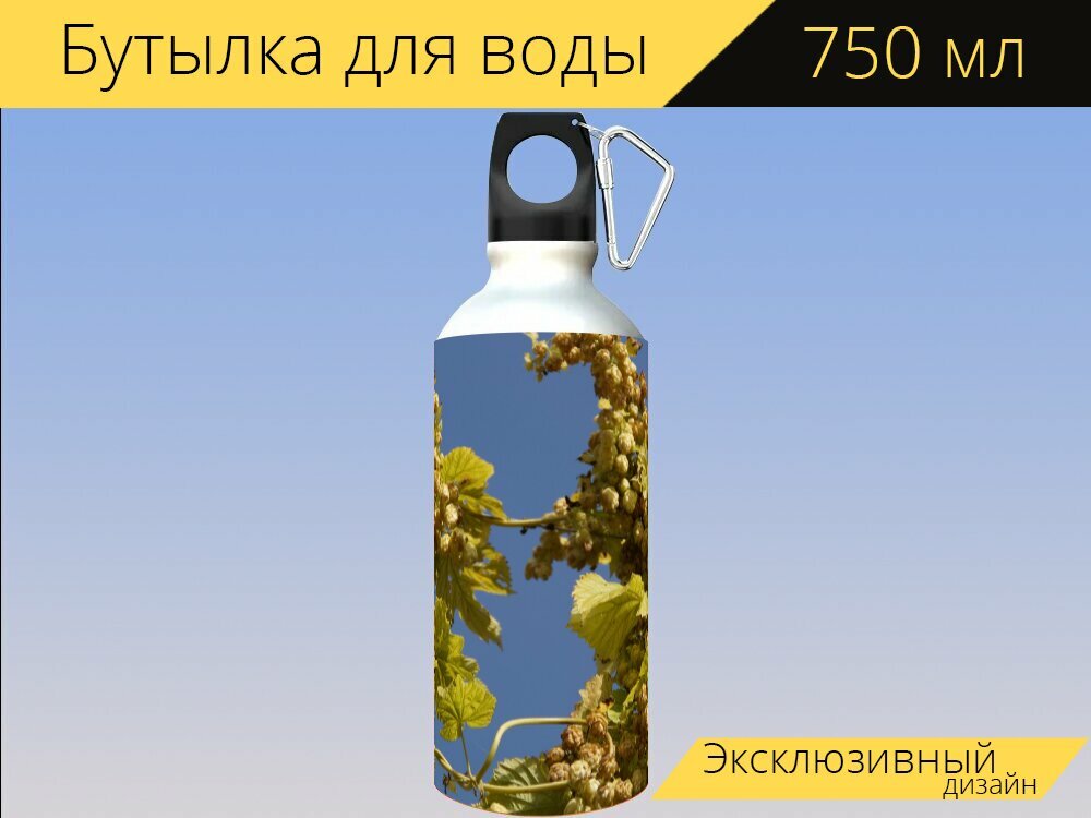 Бутылка фляга для воды "Прыгать, настоящий хмель, зонтик" 750 мл. с карабином и принтом