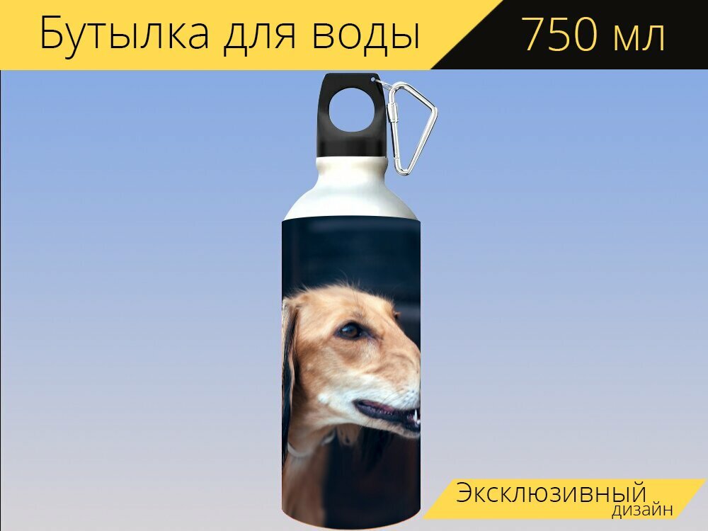 Бутылка фляга для воды "Салюки, портрет, персидская борзая" 750 мл. с карабином и принтом