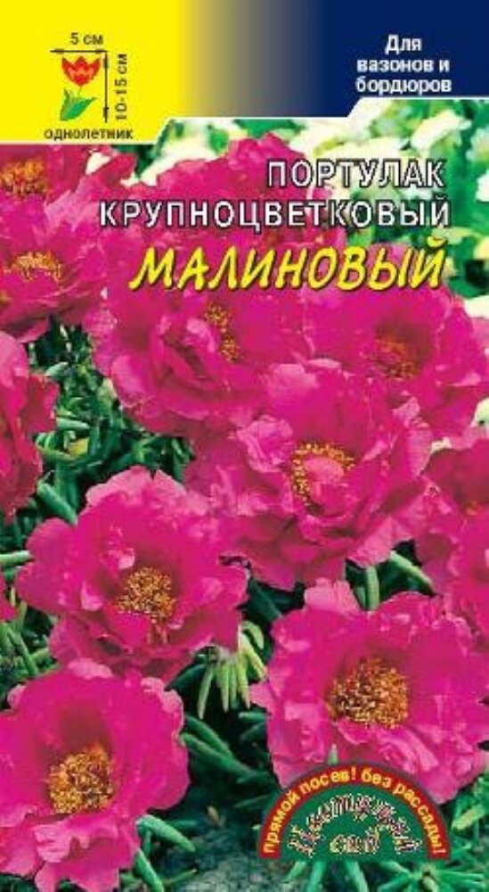 Портулак Малиновый крупноцветковый 005г Одн 15см (Цвет сад)