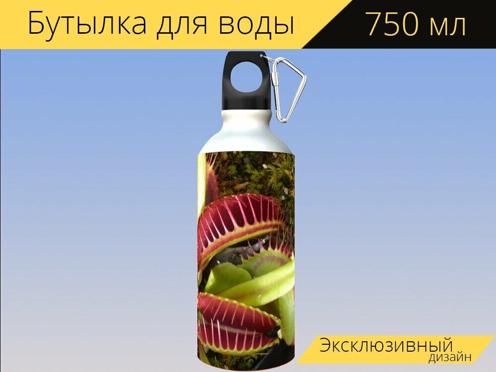 Бутылка фляга для воды "Венерина мухоловка плотоядный завод" 750 мл. с карабином и принтом