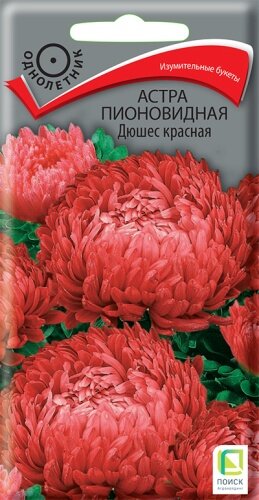 Астра Дюшес красная пионовидная 03г Одн 70см (Поиск)