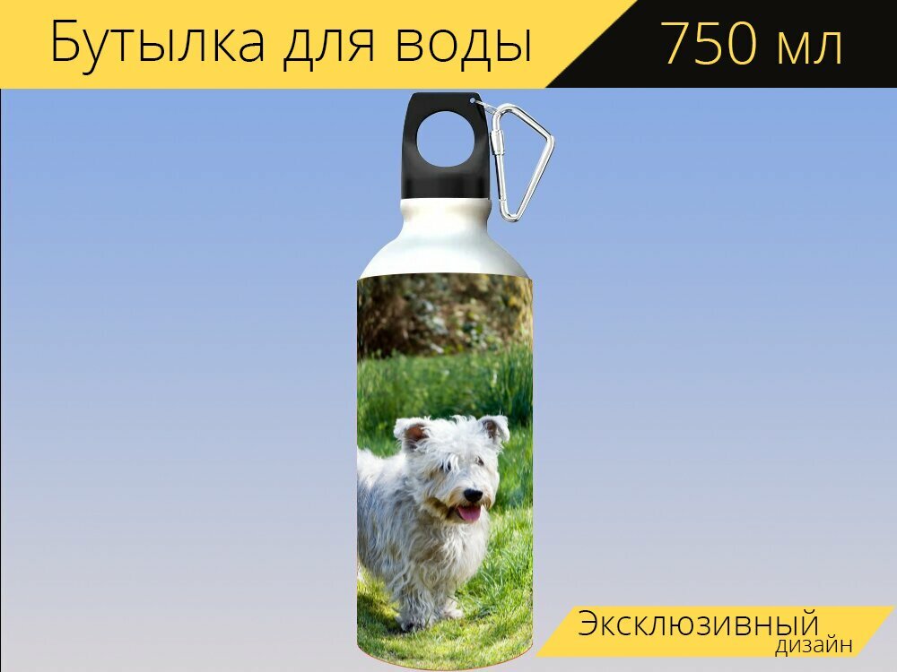 Бутылка фляга для воды "Собака, глен оф имаал терьер, терьер" 750 мл. с карабином и принтом