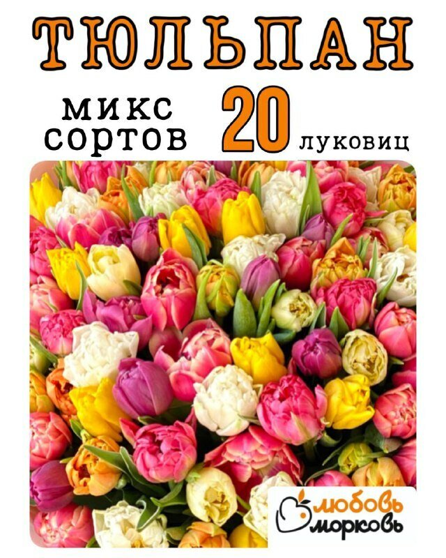 Тюльпан Луковица Микс сортов 20 шт (Любовь морковь) (Любовь морковь)