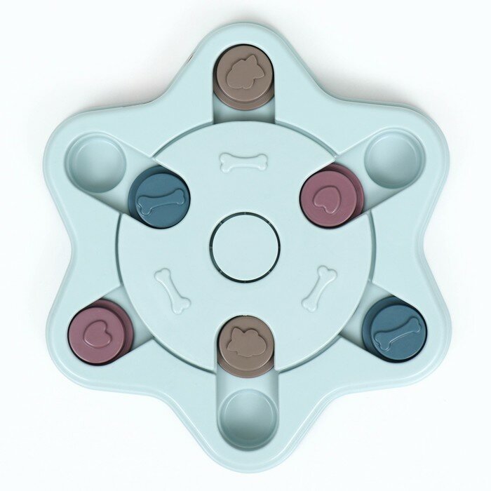 Игрушка интеллектуальная для лакомств "Звезда", 24 х 3 см, голубая - фотография № 4
