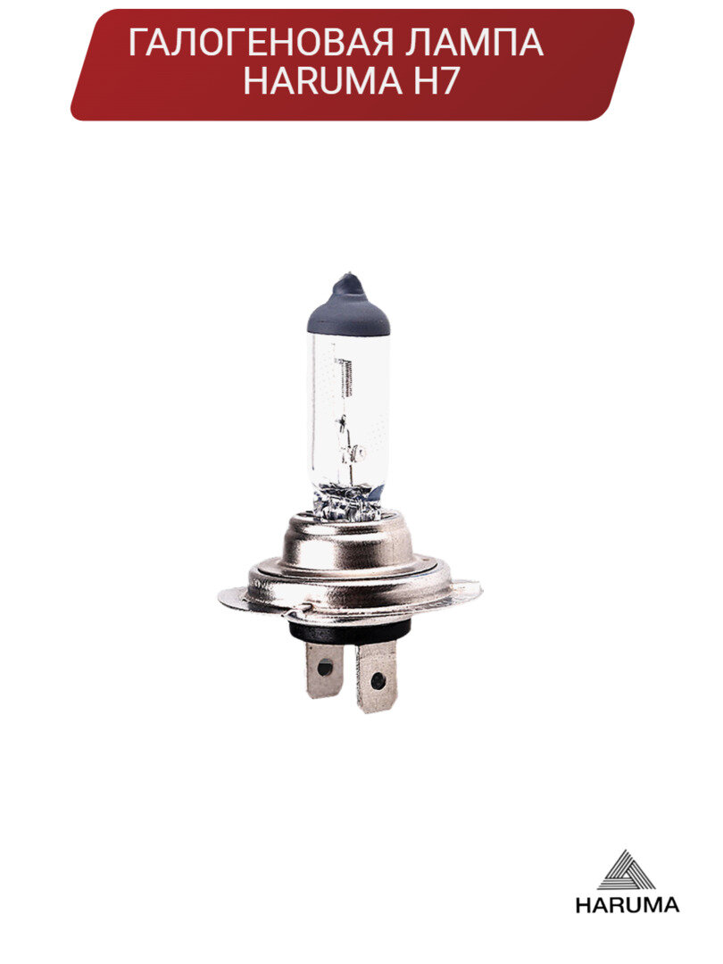 фото Галогеновая лампа H7 55W PX26d