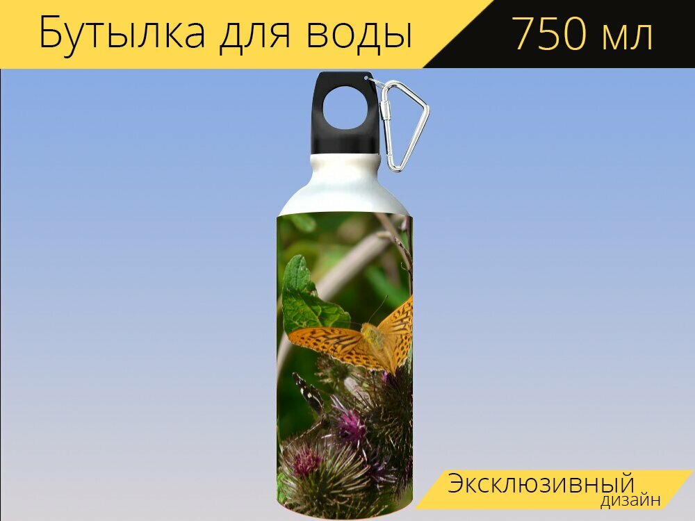 Бутылка фляга для воды "Императорское пальто, бабочка, природа" 750 мл. с карабином и принтом