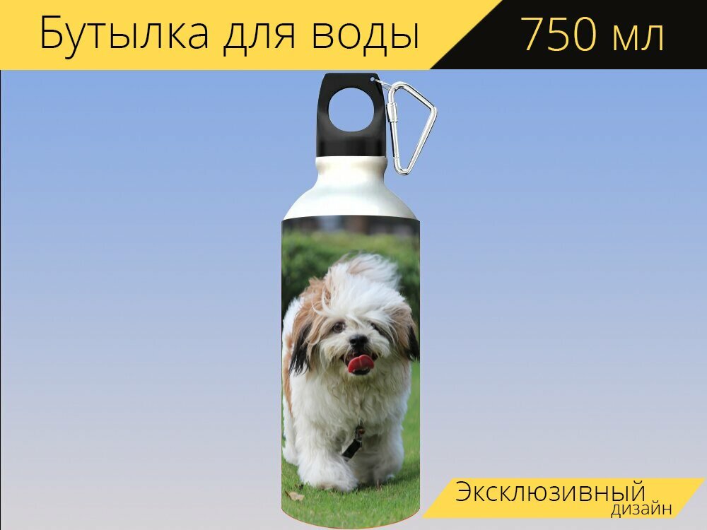 Бутылка фляга для воды "Кивать, лхаса апсо, кокосовый" 750 мл. с карабином и принтом