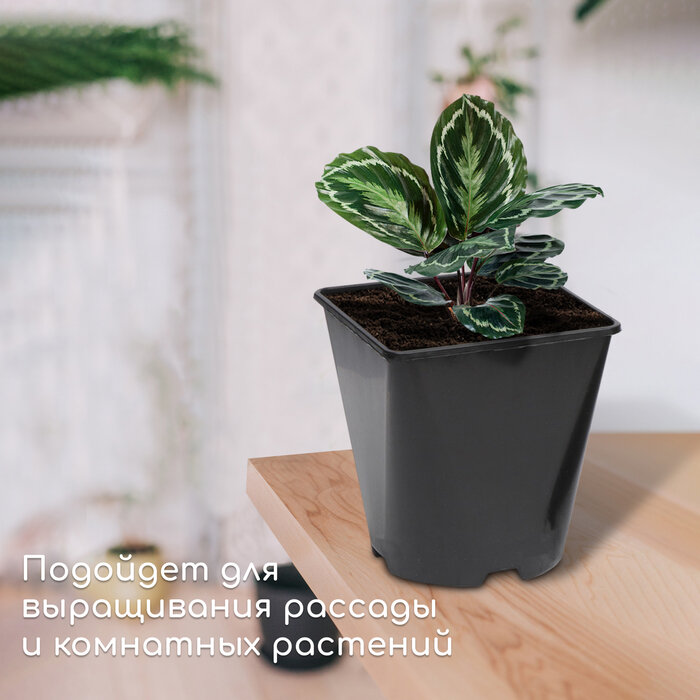 Горшок для рассады, 2 л, d = 14 см, h = 15 см, чёрный, Greengo - фотография № 4