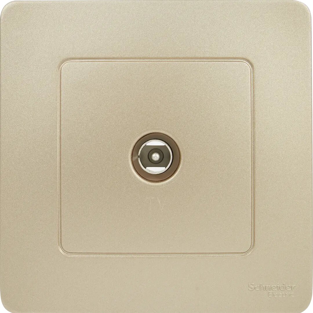 фото Телевизионный коннектор встраиваемый Schneider Electric Blanca цвет титановый