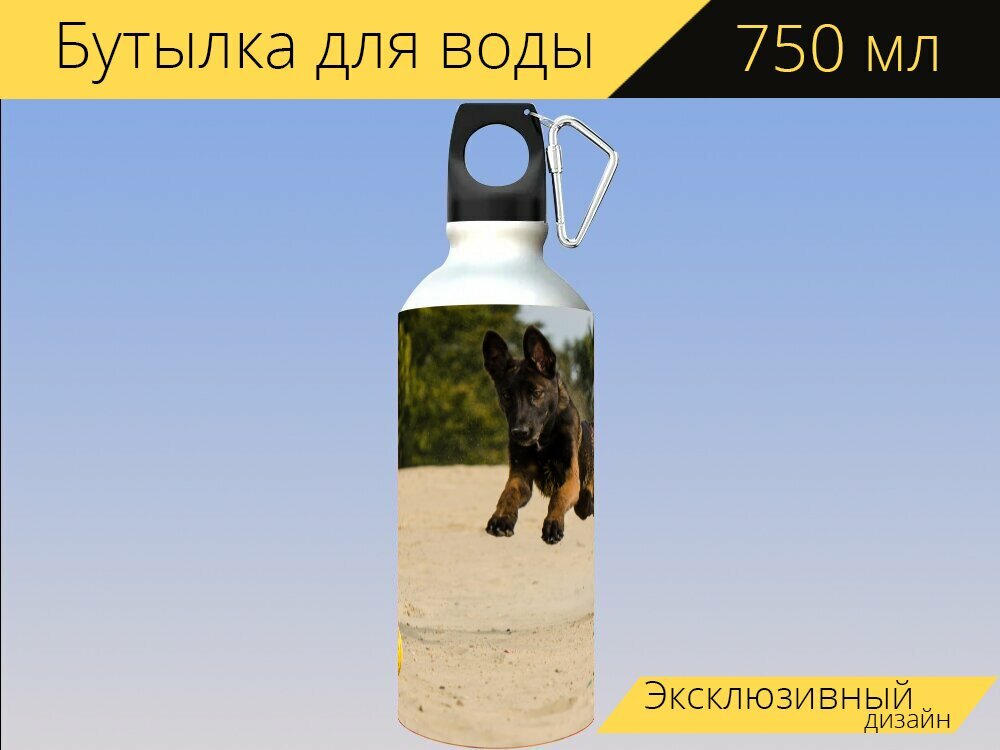 Бутылка фляга для воды "Малинуа, дворняга, бельгийская овчарка" 750 мл. с карабином и принтом