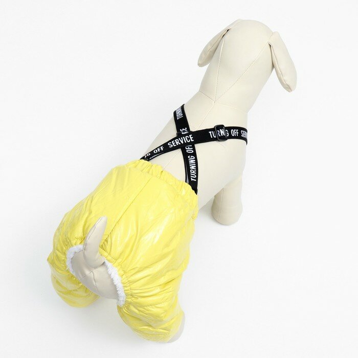 Комбинезон-штаны для собак, размер L (ДС 40, от 44 см), жёлтый 9748785 - фотография № 3