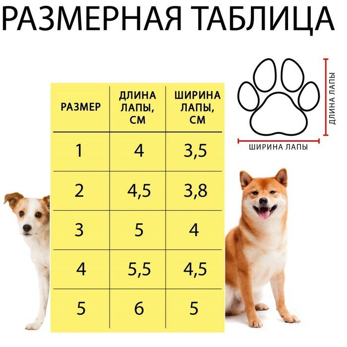 Ботинки "Модник", набор 4 шт, 4 размер (5,3 х 4 см), коричневые - фотография № 8