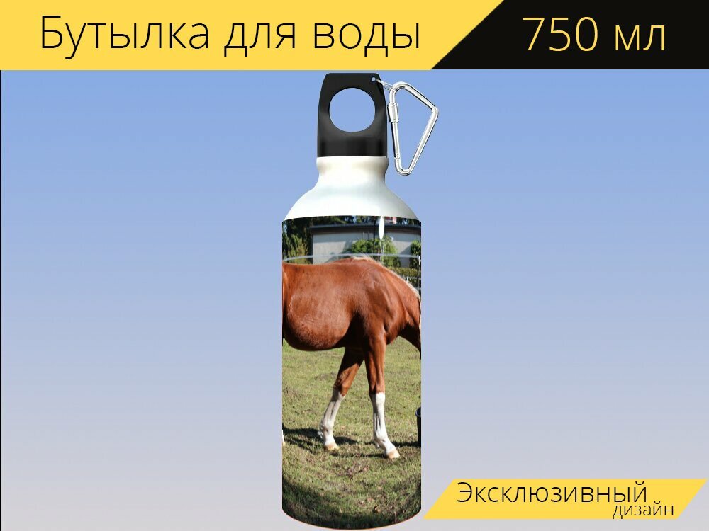 Бутылка фляга для воды "Лошадь, немецкая верховая езда на пони, понни" 750 мл. с карабином и принтом