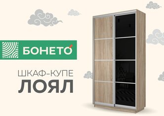 Шкаф-купе Бонето Лоял 2-х дверный ДСП/Стекло черное 120х60х220 Дуб Сонома