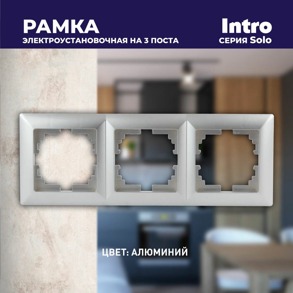 фото Рамка для розеток и выключателей на 3 поста Intro Solo 4-503-03 алюминий