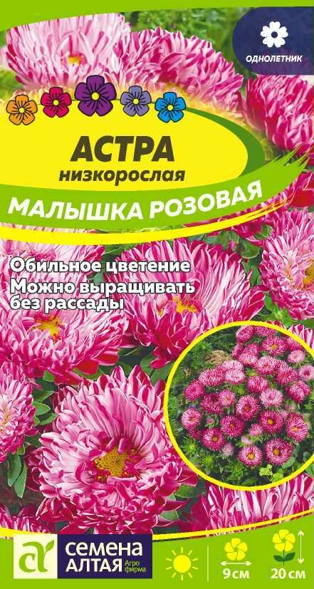 Астра Малышка Розовая низкорослая 0.2г Одн 20см (Семена Алтая)