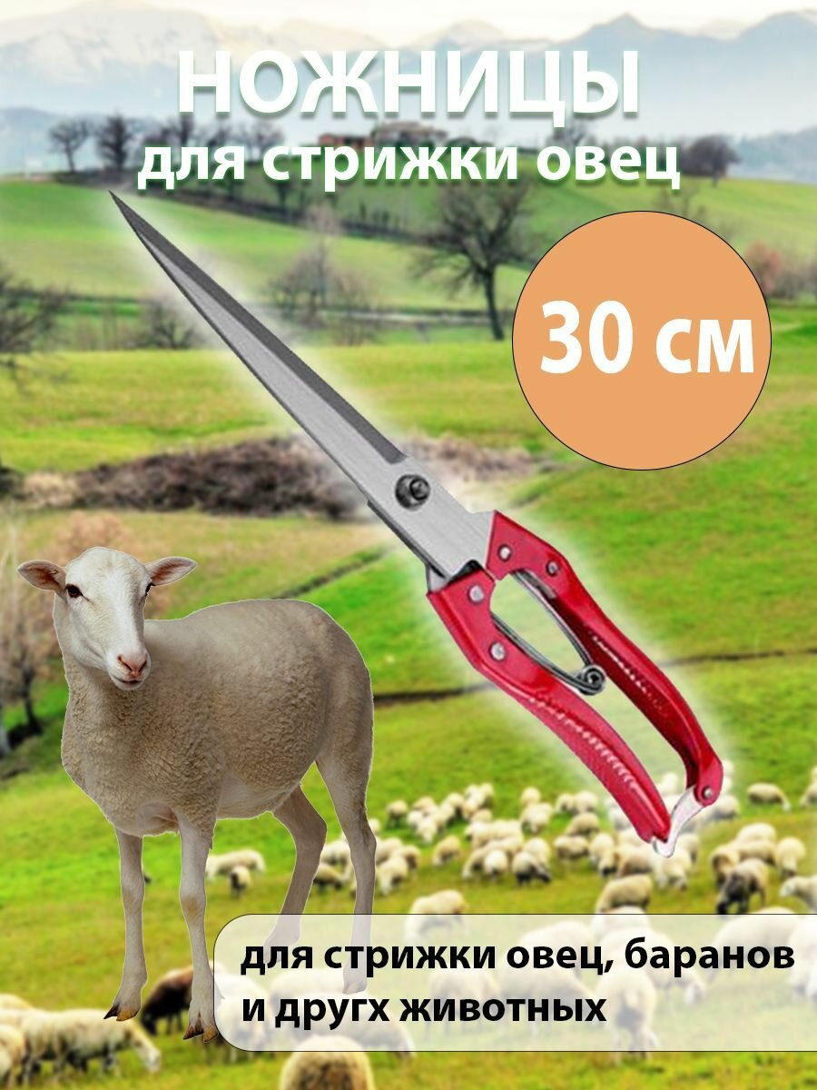 Ножницы для стрижки овец *мастер* Большие