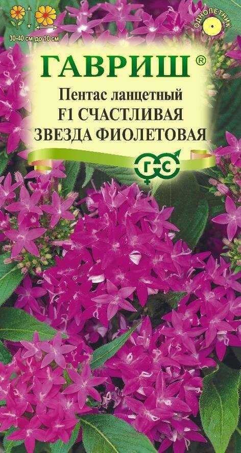 Пентас Счастливая звезда фиолетовая ланцетный F1 3шт Одн 40см (Гавриш) Н23