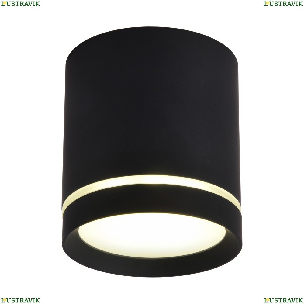 фото OML-102419-05 Накладной светодиодный светильник Omnilux, Capurso