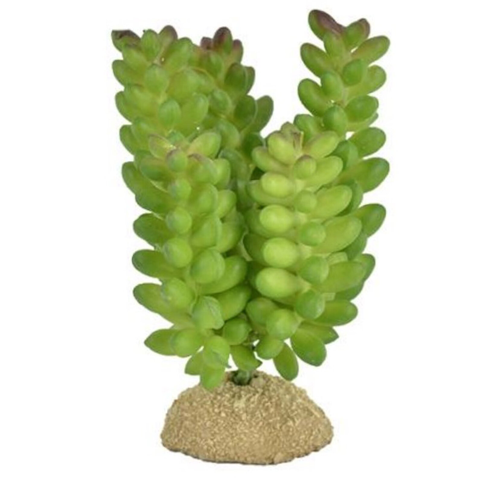 Растение для террариума EXOPRIMA "Мини-суккуленты", светло-зеленое, 6.5х7х9.5см