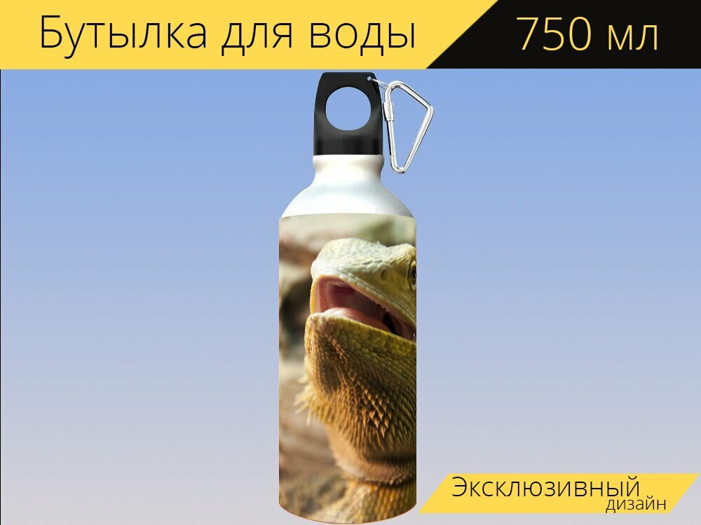 Бутылка фляга для воды "Животное, ящерица, террариум" 750 мл. с карабином и принтом